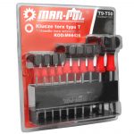 Torxi võtmete komplekt alusel T9-T50