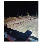 Purelux Terrain Square 180W | Töötuli - Pilt 7